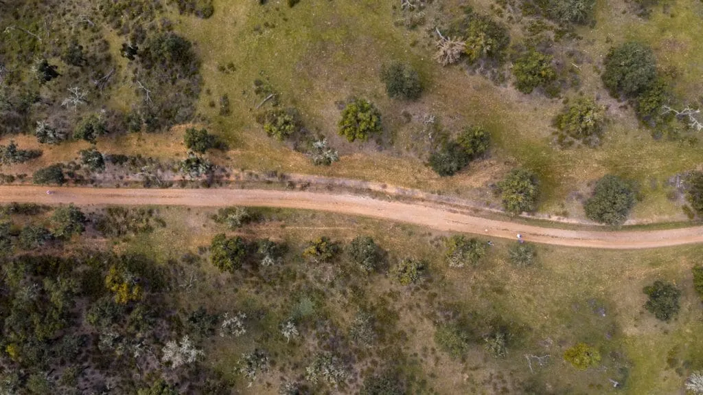 alentejo cabeca gorda drone