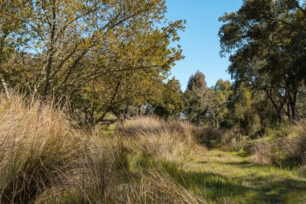 parque biologico cabeca gorda