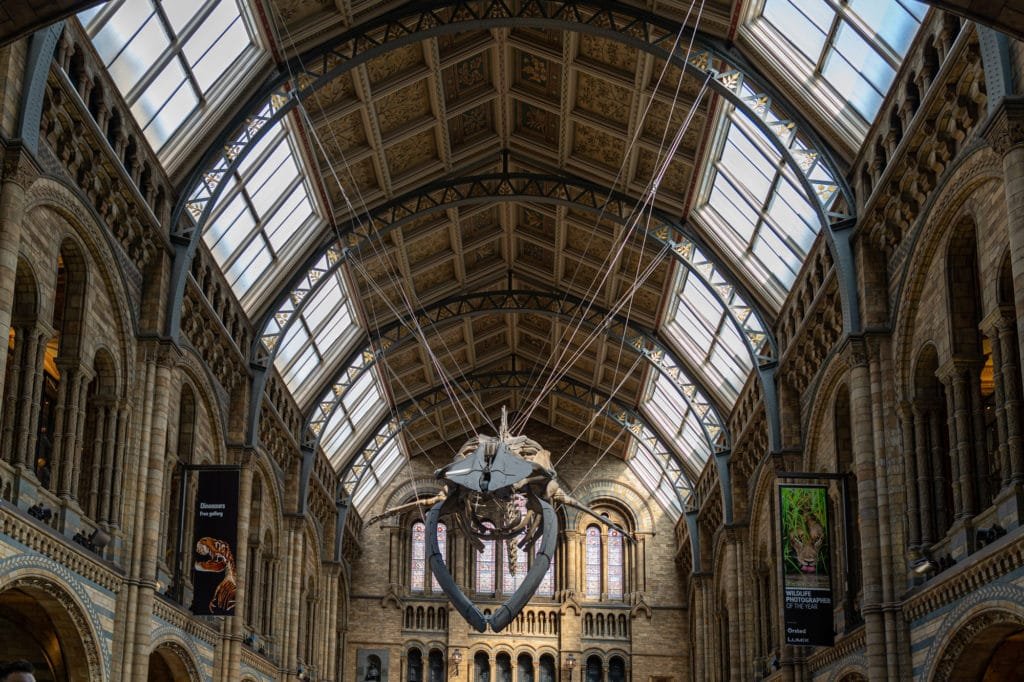 Top Tips to Visit London: Maximize Your Family Get-Together Experience 9 national history museum london