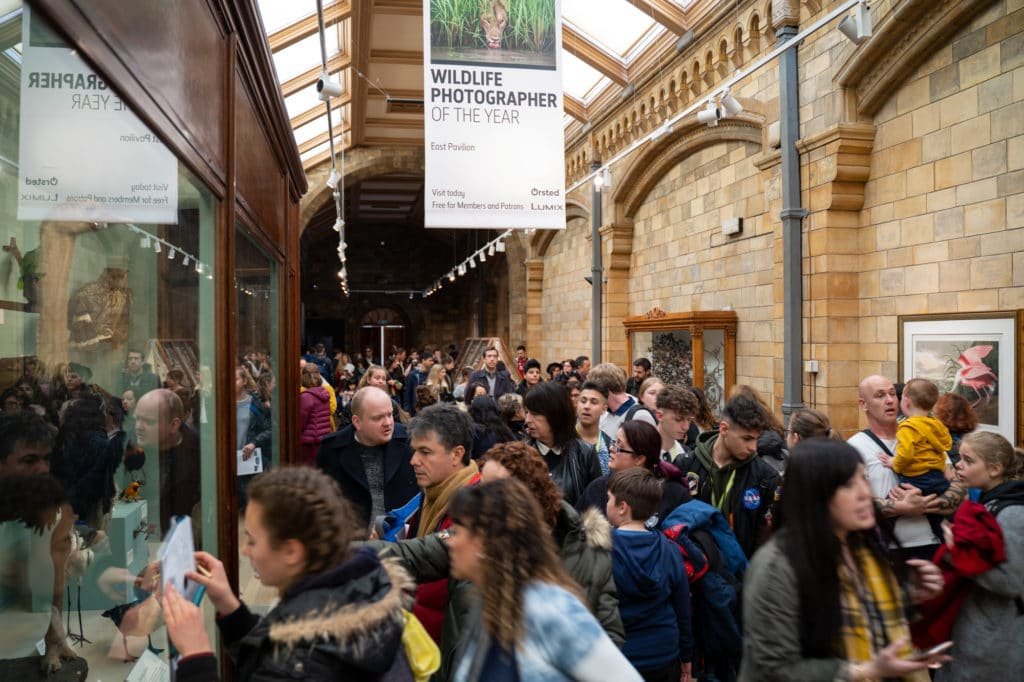 Top Tips to Visit London: Maximize Your Family Get-Together Experience 20 crowd in the national history museum london