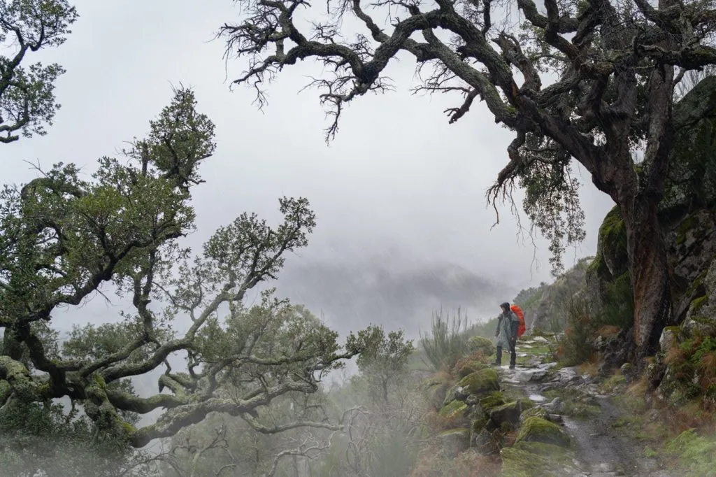 Mountain multi-day hikes, our full autonomy experience 17