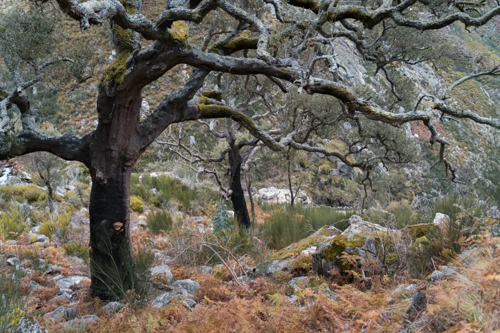 Mountain multi-day hikes, our full autonomy experience 16