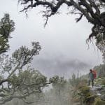 Mountain multi-day hikes, our full autonomy experience 3