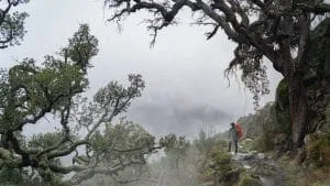 Mountain multi-day hikes, our full autonomy experience 4