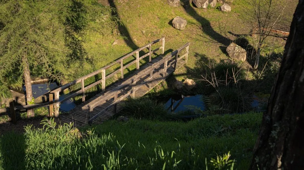 Experience the Magic of Learning at a Forest School - Less screen time, more green time. 23