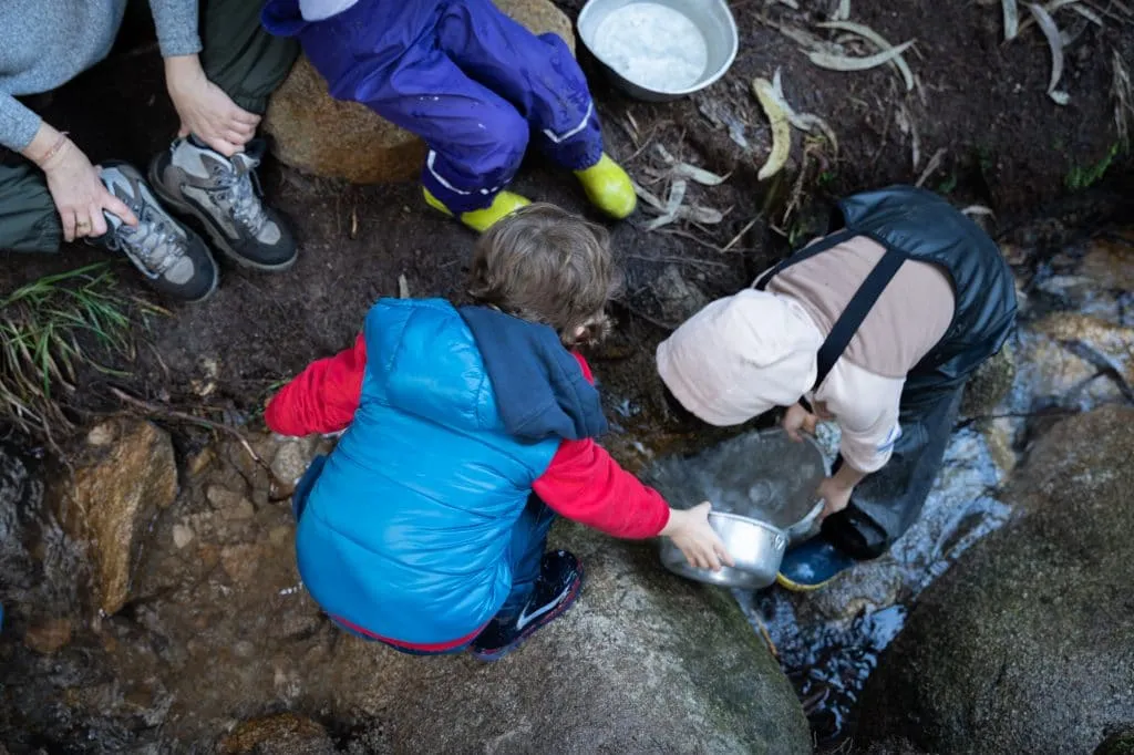 Experience the Magic of Learning at a Forest School - Less screen time, more green time. 19