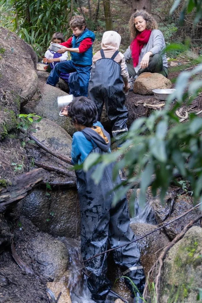 Experience the Magic of Learning at a Forest School - Less screen time, more green time. 16