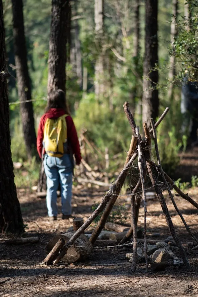 Experience the Magic of Learning at a Forest School - Less screen time, more green time. 9