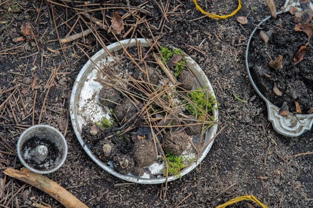 Experience the Magic of Learning at a Forest School - Less screen time, more green time. 8