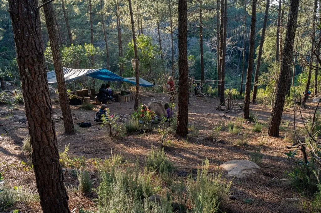 Experience the Magic of Learning at a Forest School - Less screen time, more green time. 6