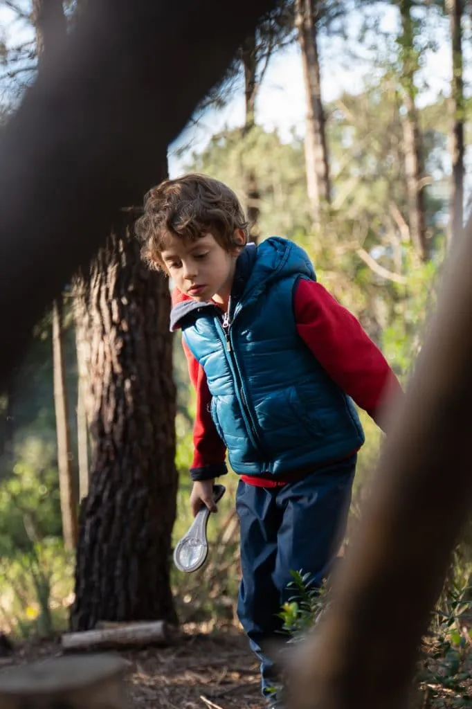 Experience the Magic of Learning at a Forest School - Less screen time, more green time. 4