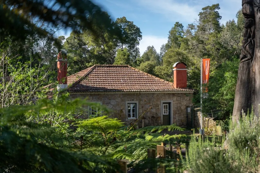 Experience the Magic of Learning at a Forest School - Less screen time, more green time. 29