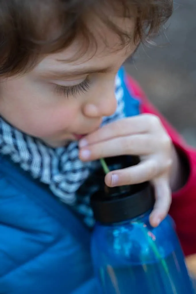 Experience the Magic of Learning at a Forest School - Less screen time, more green time. 27