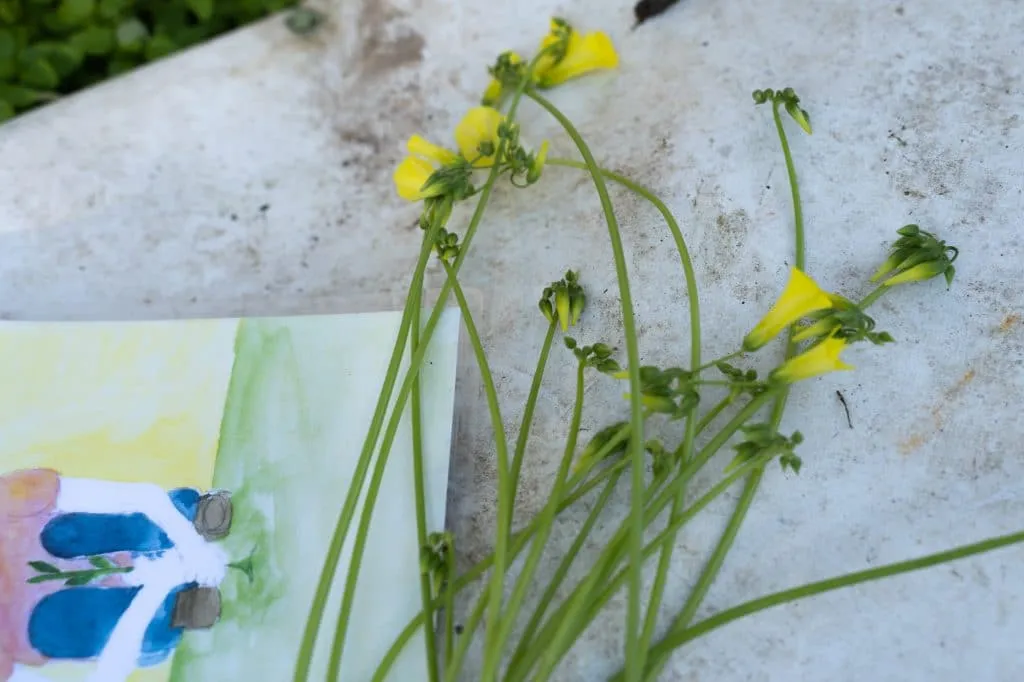 Experience the Magic of Learning at a Forest School - Less screen time, more green time. 26