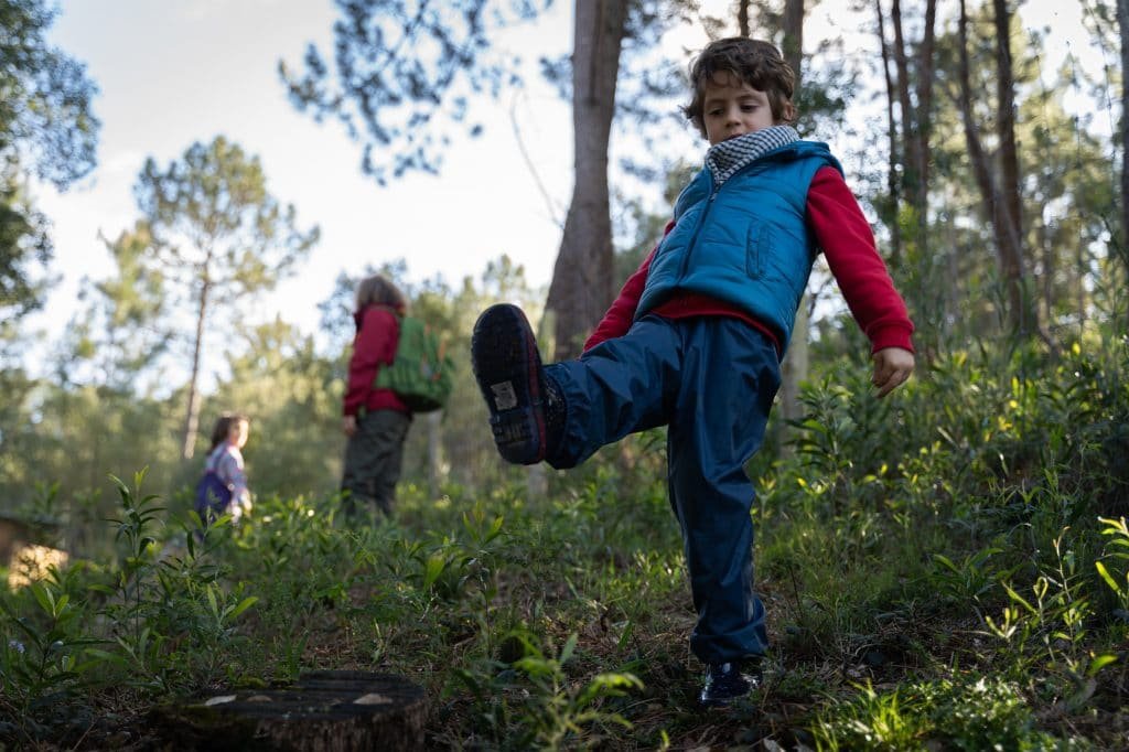 Experience the Magic of Learning at a Forest School - Less screen time, more green time. 25 Experience the Magic of Learning at a Forest School - Less screen time, more green time. 24