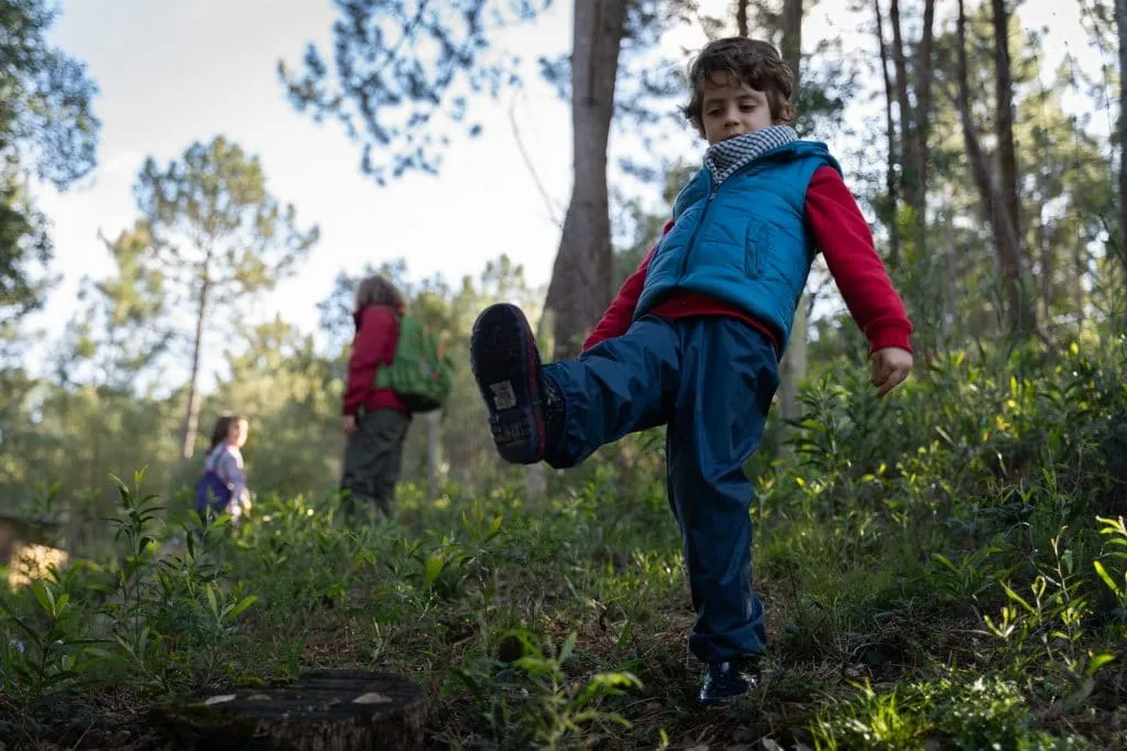Experience the Magic of Learning at a Forest School - Less screen time, more green time. 24