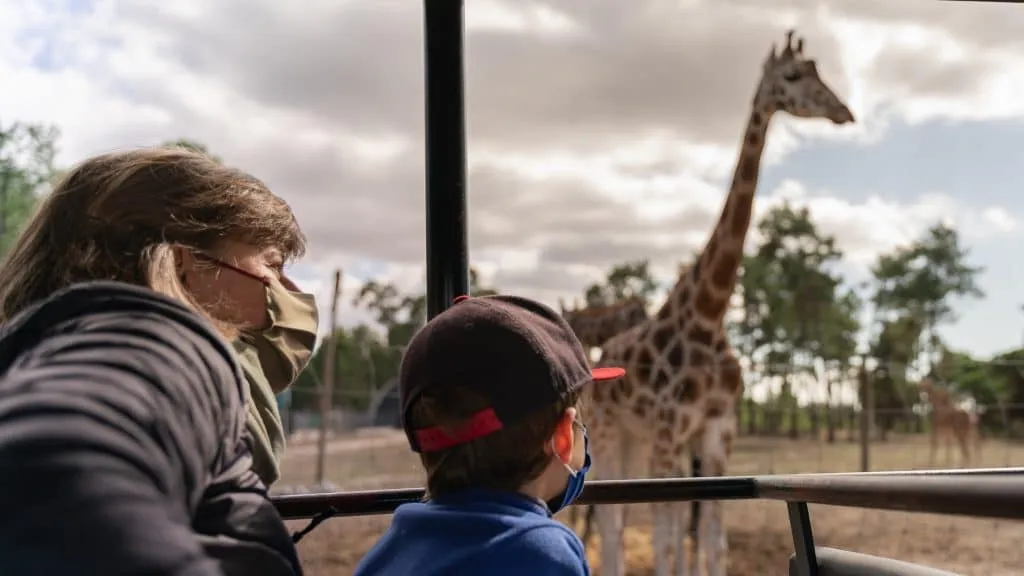 Um Destino Perfeito para Famílias - Descubra a Beleza do Badoca Safari Park em Portugal 15 Um Destino Perfeito para Famílias - Descubra a Beleza do Badoca Safari Park em Portugal 15